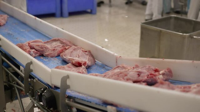 Raw meat cuts on an industrial conveyor. Meat processing in the food industry. Raw meat on a conveyor belt. Meat is transported on a conveyor belt of an industrial enterprise. Fresh raw chops at a mea