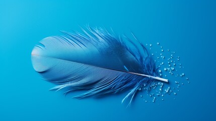 Beautiful background of a blue feather with small drops on a blue background
