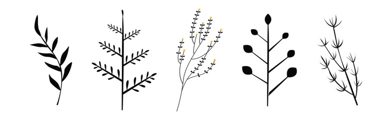 Black Herbs and Twig with Stem and Stalk Vector Set