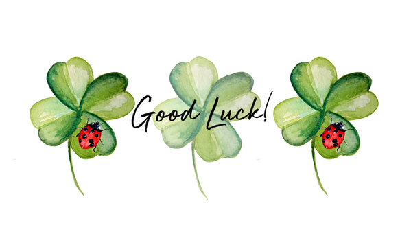 Good luck! Hand drawing artwork. Green clover with ladybug.