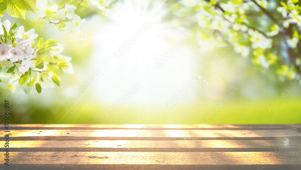 Poster spring beautiful background with green lush young foliage and flowering branches with an empty woode