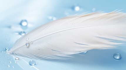 A gentle and airy white feather close up with a small drop of water