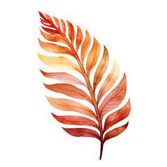 Auntum orange long leaf watercolor