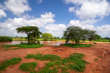 Kenia Africa national park