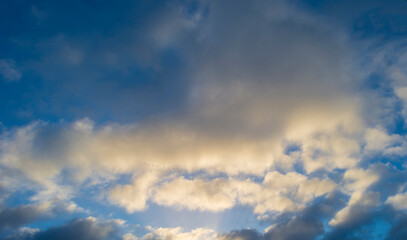 Naklejka na ściany i meble Birds flying in a blue cloudy sky in sunlight in winter, Almere, Flevoland, The Netherlands, January 1, 2024