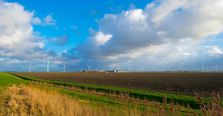Fototapeta na wymiar Wind turbines on the horizon of an agricultural field along a ditch in bright sunlight in winter, Almere, Flevoland, Netherlands, January 1, 2024