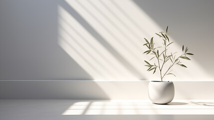 Minimalist Olive Tree in White Vase with Shadows on Tile Floor