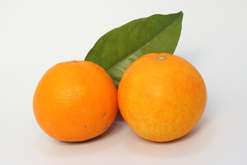 isolated navel oranges on white background