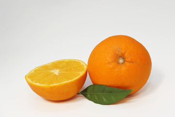 isolated navel oranges on white background