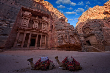 Two camel dromedary, Treasury Al-Khazneh, stone rock historic Petra. Travel Jordan, Arabia holiday....