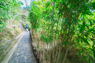 京都の鈴虫寺の庭園