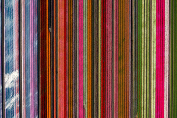 aerial overhead shot of colorful vertically striped tulips field