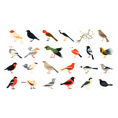 Collections of various type birds vehicles flat isolated
