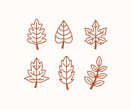 set of autumn leaves simple line vector icon design collections illustration isolated