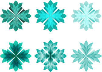 Elegant roses boasting rich