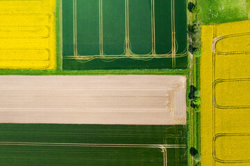 aerial overhead shot of canola and corn field