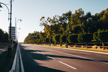 Tree lined road in Agadir, Morocco