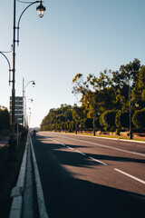 Tree lined road in Agadir, Morocco