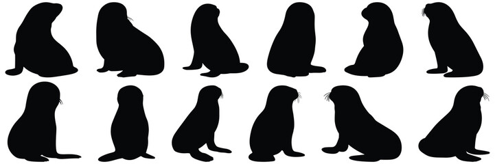 Monk seal silhouettes set, large pack of vector silhouette design, isolated white background