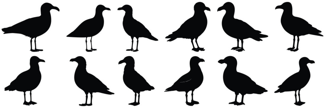 Bird seagull silhouettes set, large pack of vector silhouette design, isolated white background