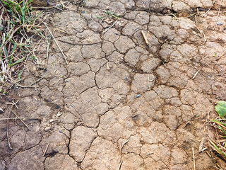 Dry cracked earth texture, global climate warming. Abstract background, pattern, frame, place for text and copy space
