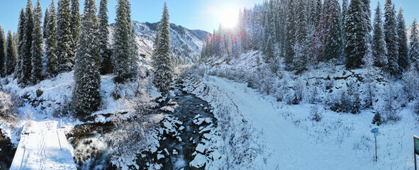 a stream in the winter forest. a stormy mountain river