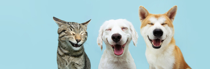 Banner pets. Dog and cat smiling dogs with happy expression. and closed eyes. Isolated on blue colored background on summer or spring season - obrazy, fototapety, plakaty