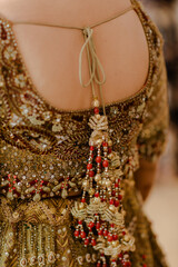 beautiful Indian bride wearing a traditional Indian bridal dress