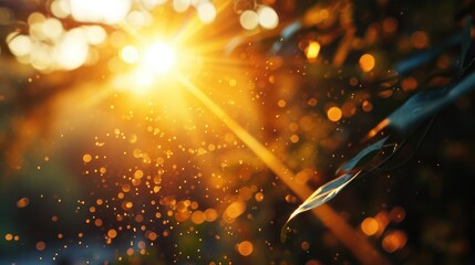 Sunlight filtering through the leaves of a tree. Perfect for nature and outdoor themes