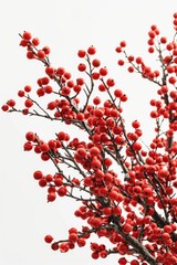 A picture of a bunch of red berries on a tree. Can be used to represent the beauty of nature or as a symbol of the changing seasons
