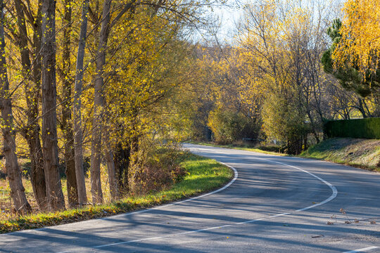 Curve in a road between fields in autumn