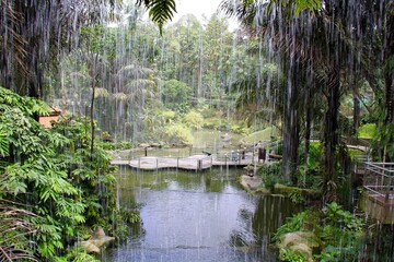 A waterfall in Kuala Lumpur Bird Park