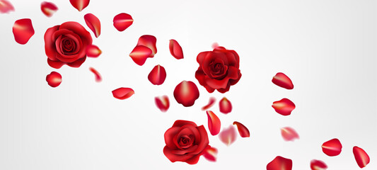 A romantic red rose realistic illustration, with flying petals. Perfect for Valentine's Day, weddings, and celebrations. Realistic details create a beautiful, natural design. Not AI.