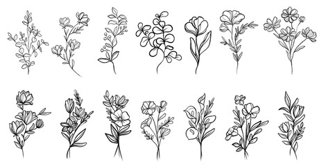 Bundle of charcoal hand drawn plants illustrations. Botanical set of flowers sketches  branches. Beautiful flowers and plants transparent background - obrazy, fototapety, plakaty