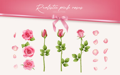 A realistic vector collection of pink roses and petals, isolated on white. Perfect for romantic occasions like weddings and anniversaries. Detailed illustration for cards and decorations. Not AI.