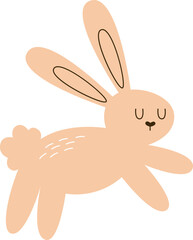 Rabbit Cartoon Animal