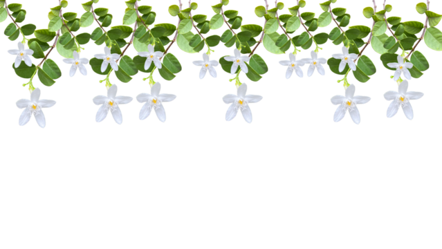 branch of tree with leaves and white flower above background