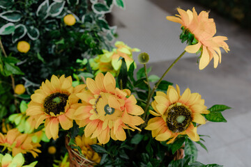 Beautiful romantic elegant wedding decor 