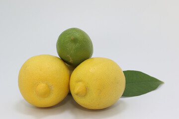 group of lemons on white background