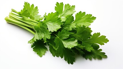 bunch of parsley isolated on white background. healthy 