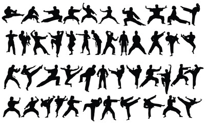 Silhouette of mix martial arts, Kungfu, boxing, karate, kick boxing, jujitsu, taekwondo, sumo, mauy thai. Vector illustration. 