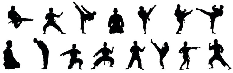 Silhouette of martial art. Kungfu, karate, taekwondo - obrazy, fototapety, plakaty