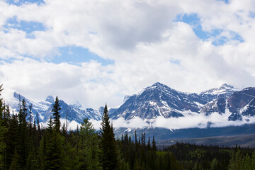 Summer landscape in Jasper National Park, Canada