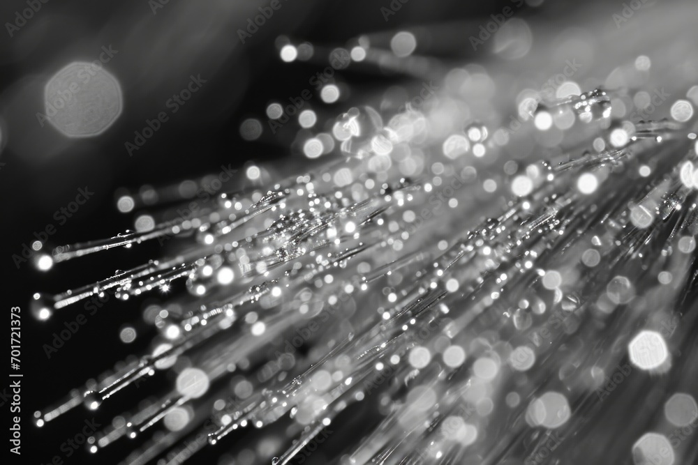 Poster A close-up view of a bunch of water droplets. Perfect for adding a refreshing touch to any project