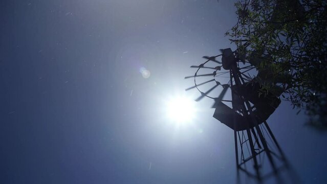 American farm windmill.
A farm windmill in California, sun in the frame and seeds floating in the air.