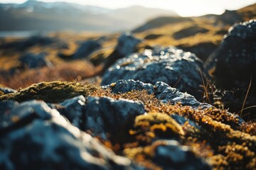 A close up shot of rocks and grass. This image can be used to depict nature, landscapes, or outdoor scenes