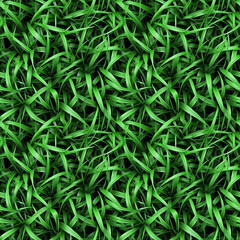Fototapeta na wymiar Lush Zoysia Grass Texture, seamless pixel perfect pattern texture