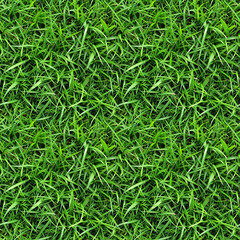 Lush Zoysia Grass Texture, seamless pixel perfect pattern texture