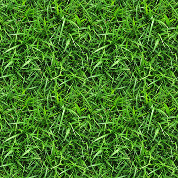 Lush Zoysia Grass Texture, seamless pixel perfect pattern texture