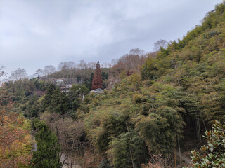 Fototapeta na wymiar View of Moganshan Scenic Area in China